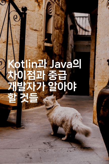 Kotlin과 Java의 차이점과 중급 개발자가 알아야 할 것들
2-코틀린린