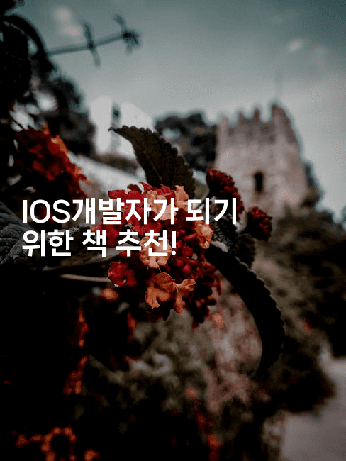 IOS개발자가 되기 위한 책 추천!2-코틀린린