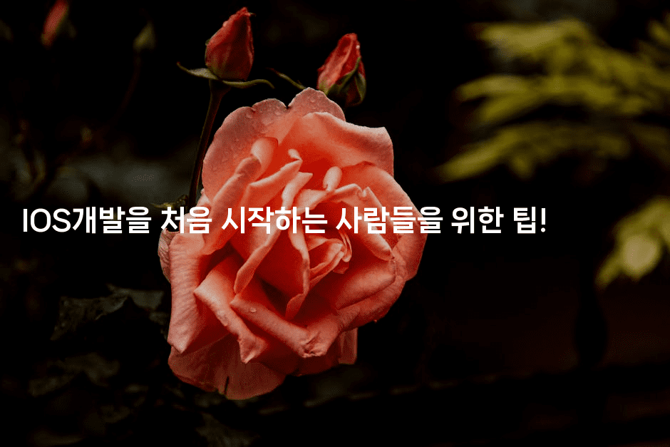 IOS개발을 처음 시작하는 사람들을 위한 팁!