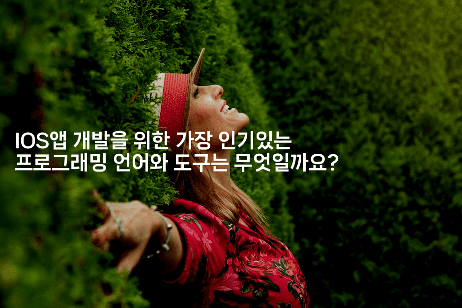 IOS앱 개발을 위한 가장 인기있는 프로그래밍 언어와 도구는 무엇일까요?2-코틀린린