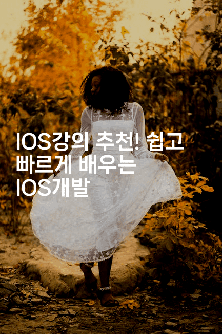 IOS강의 추천! 쉽고 빠르게 배우는 IOS개발-코틀린린