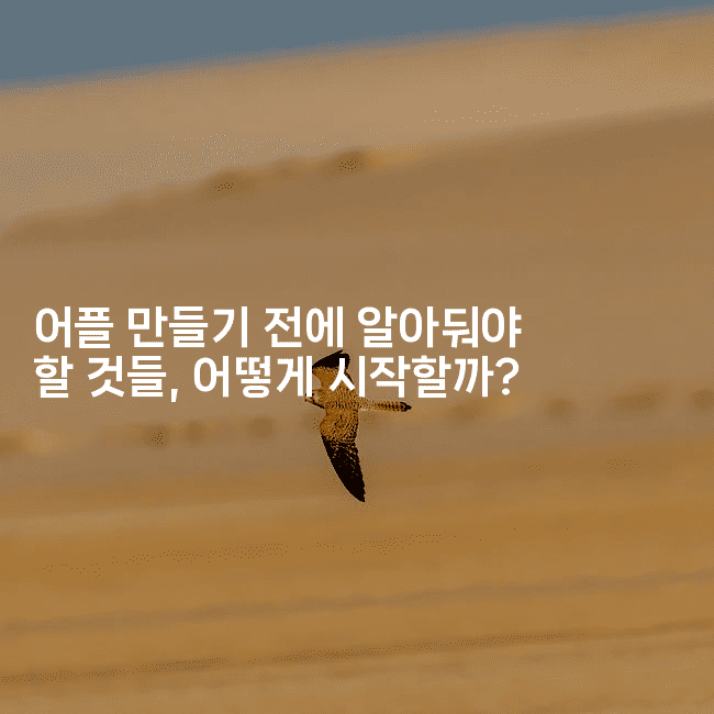 어플 만들기 전에 알아둬야 할 것들, 어떻게 시작할까?