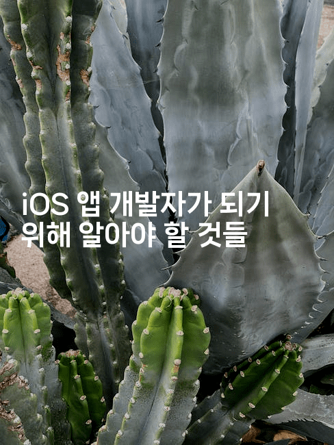 iOS 앱 개발자가 되기 위해 알아야 할 것들2-코틀린린