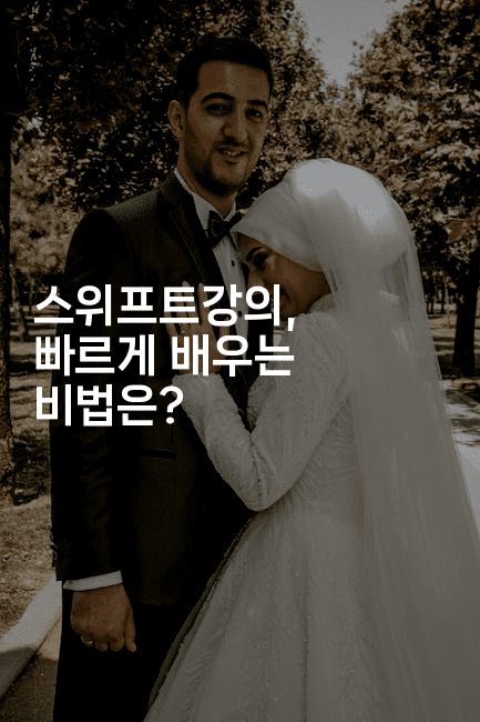 스위프트강의, 빠르게 배우는 비법은?