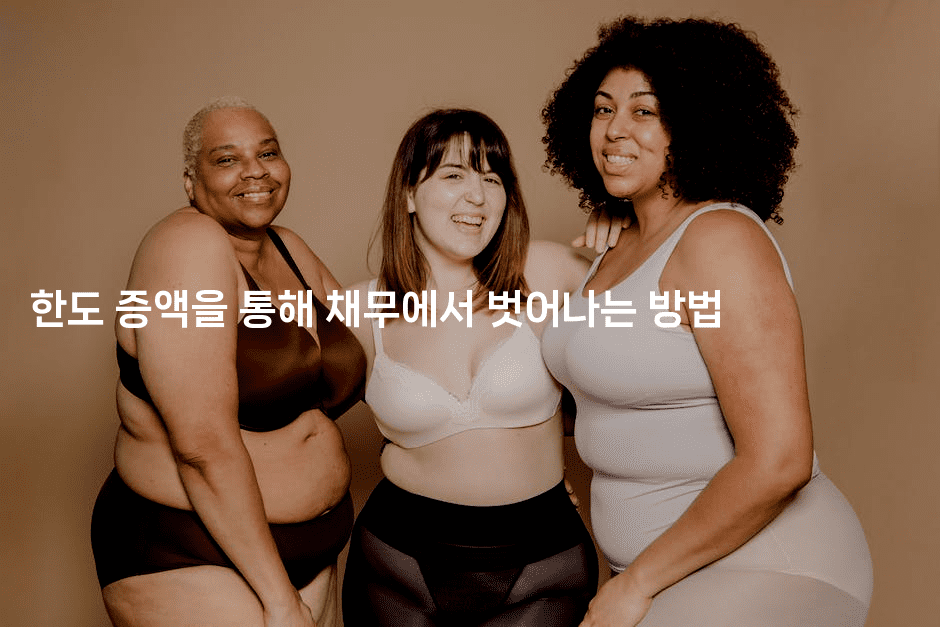 한도 증액을 통해 채무에서 벗어나는 방법-코틀린린