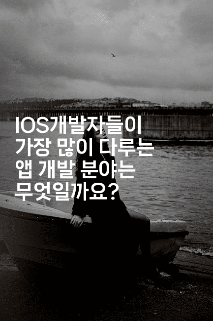 IOS개발자들이 가장 많이 다루는 앱 개발 분야는 무엇일까요?2-코틀린린