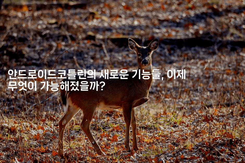 안드로이드코틀린의 새로운 기능들, 이제 무엇이 가능해졌을까?