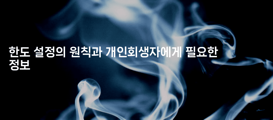 한도 설정의 원칙과 개인회생자에게 필요한 정보-코틀린린