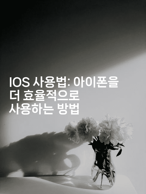 IOS 사용법: 아이폰을 더 효율적으로 사용하는 방법2-코틀린린