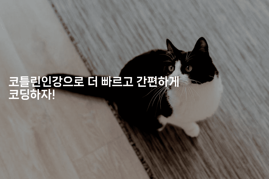 코틀린인강으로 더 빠르고 간편하게 코딩하자! -코틀린린