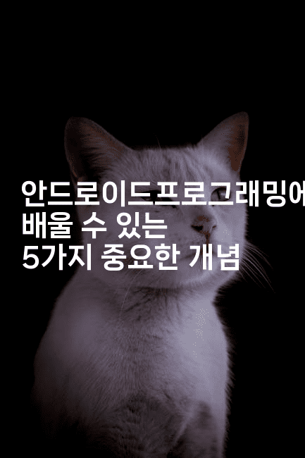 안드로이드프로그래밍에서 배울 수 있는 5가지 중요한 개념-코틀린린