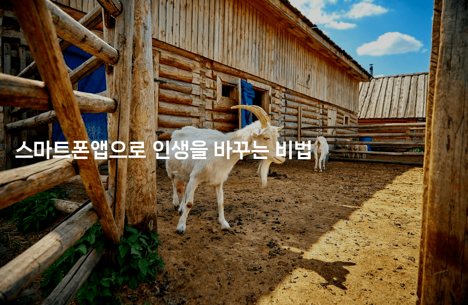 스마트폰앱으로 인생을 바꾸는 비법