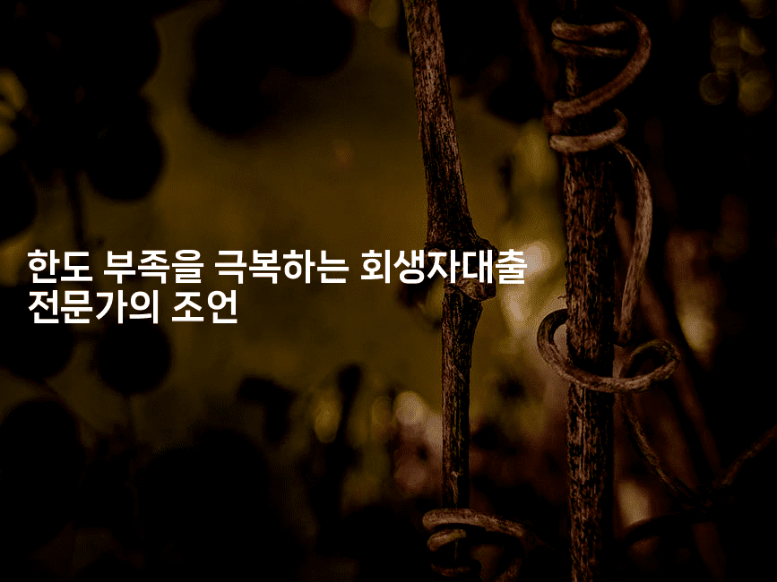 한도 부족을 극복하는 회생자대출 전문가의 조언-코틀린린