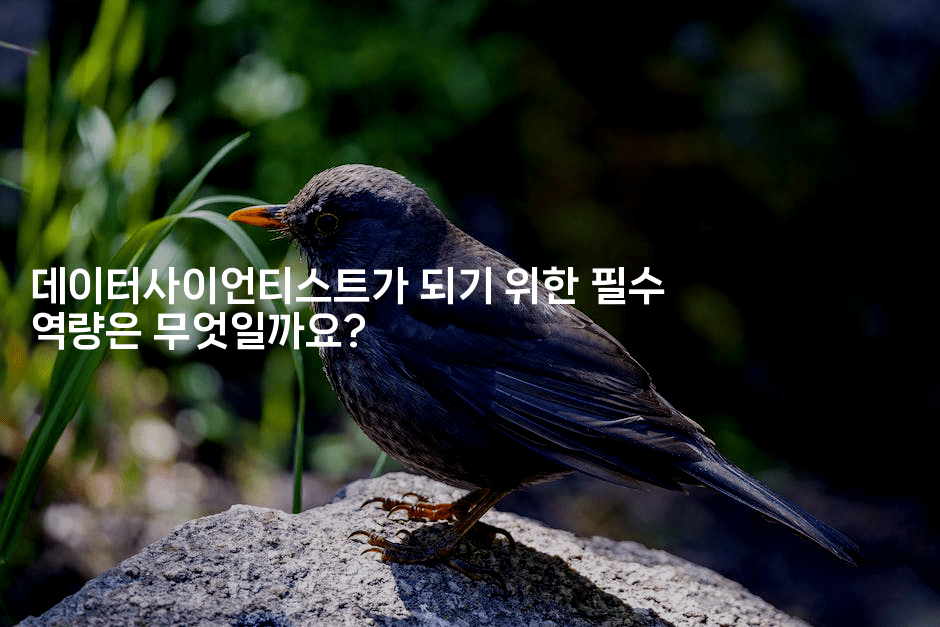 데이터사이언티스트가 되기 위한 필수 역량은 무엇일까요?